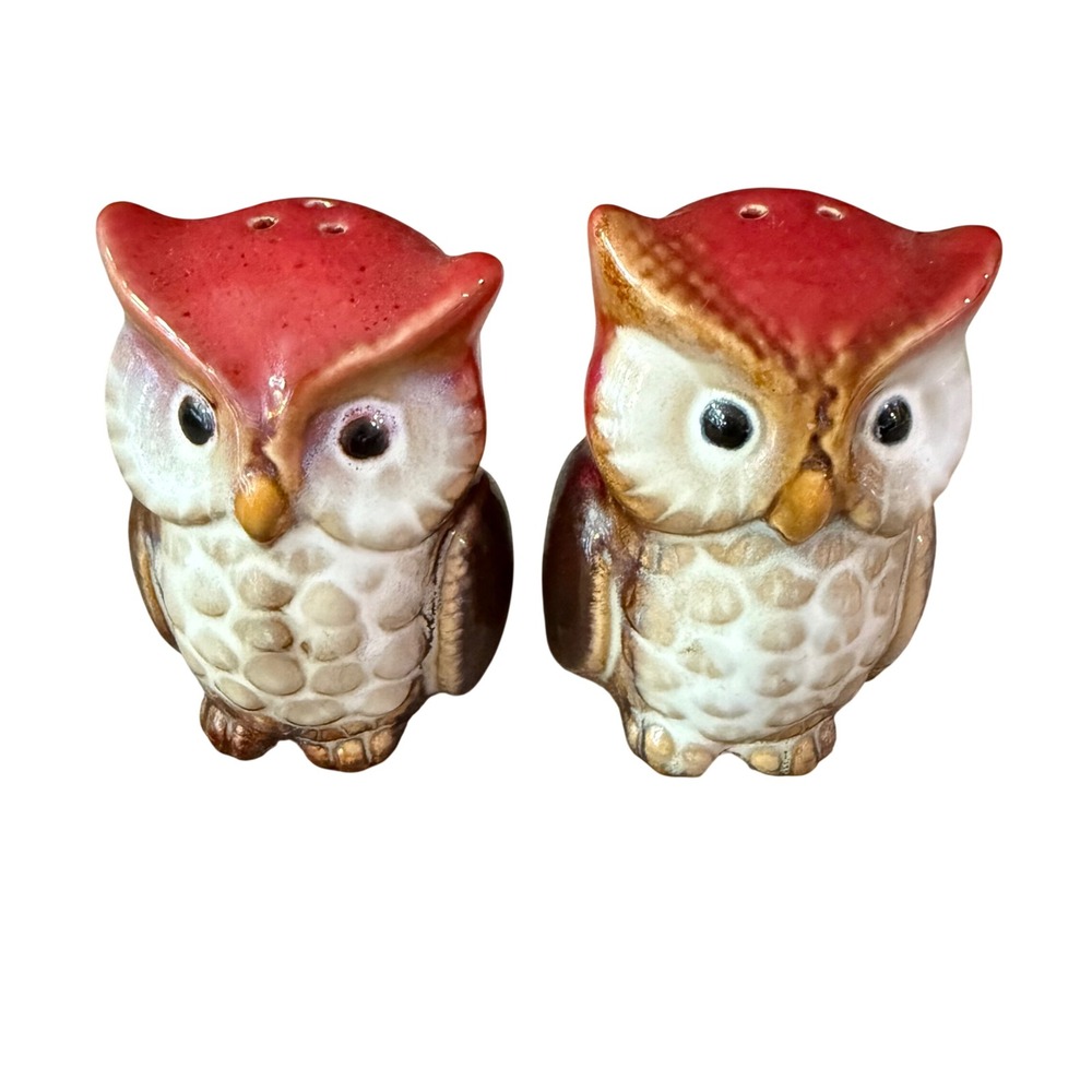Vintage Owl Salt and Pepper Shakers Ceramic Bird Woodland Kitsch Kitchen Decor